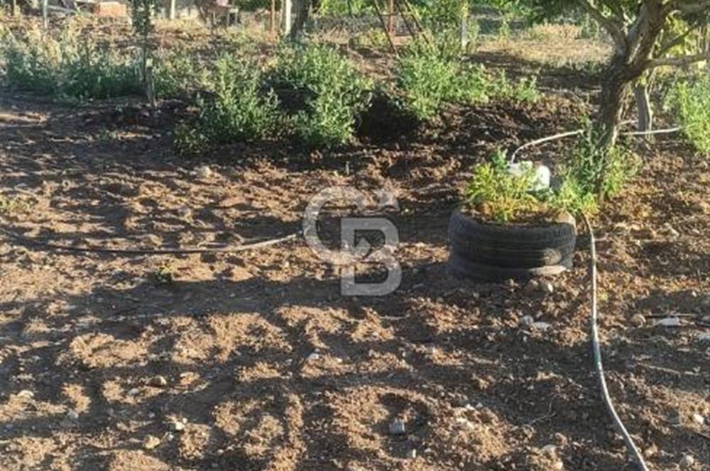Bozkurt Çambaşı Mah. Satılık Arsa 