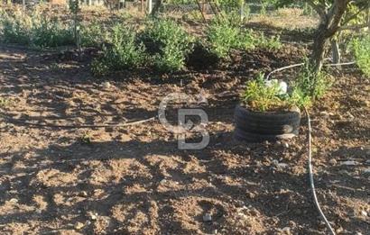 Bozkurt Çambaşı Mah. Satılık Arsa 