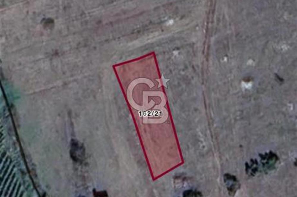 CB GİZ'DEN SAKARYA TARAKLI İÇDEDELER MAHALLSİNDE SATILIK TARLA