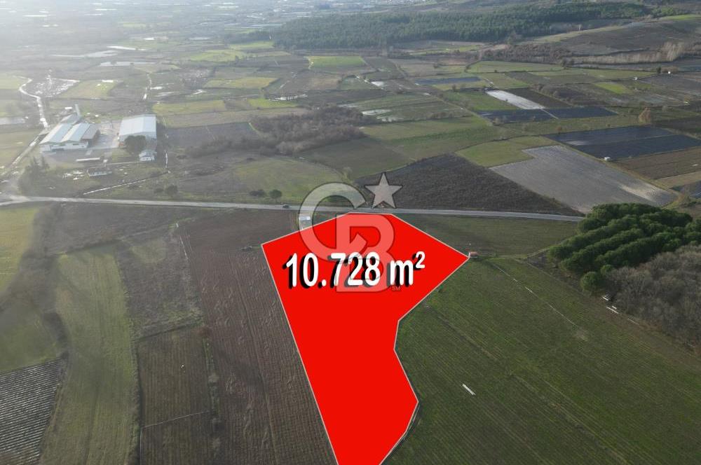 Çanakkale Yenice Kurtlar Köyünde 10.728 M² Satılık Tarla !