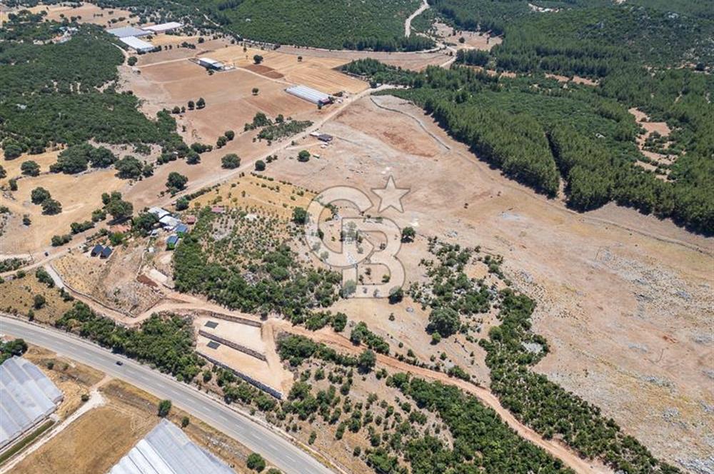 ANTALYA DEMRE YAVU'DA D-400'E KOMŞU, 23.013 m² YATIRIMLIK TARLA
