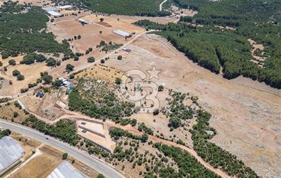 ANTALYA DEMRE YAVU'DA D-400'E KOMŞU, 23.013 m² YATIRIMLIK TARLA