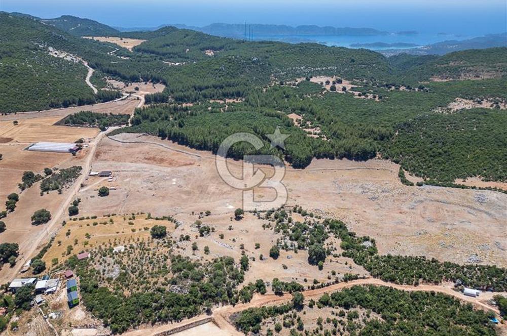 ANTALYA DEMRE YAVU'DA D-400'E KOMŞU, 23.013 m² YATIRIMLIK TARLA