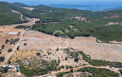 ANTALYA DEMRE YAVU'DA D-400'E KOMŞU, 23.013 m² YATIRIMLIK TARLA