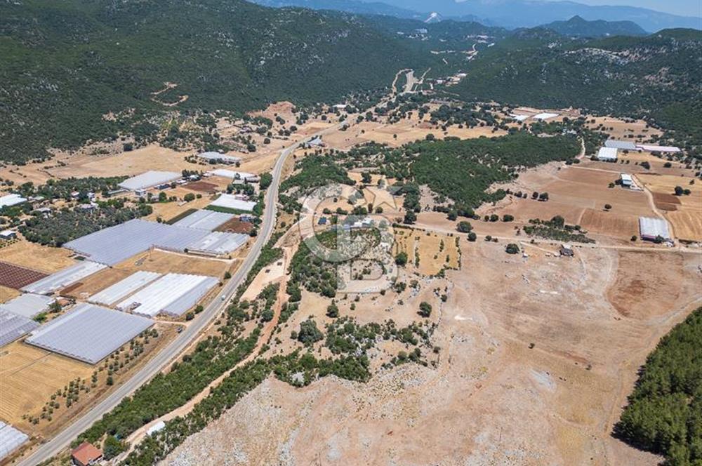 ANTALYA DEMRE YAVU'DA D-400'E KOMŞU, 23.013 m² YATIRIMLIK TARLA
