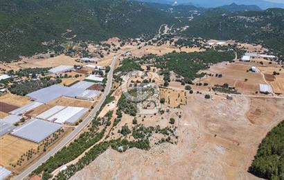 ANTALYA DEMRE YAVU'DA D-400'E KOMŞU, 23.013 m² YATIRIMLIK TARLA
