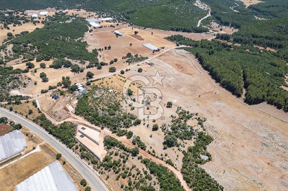 ANTALYA DEMRE YAVU'DA D-400'E KOMŞU, 23.013 m² YATIRIMLIK TARLA