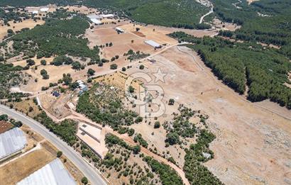 ANTALYA DEMRE YAVU'DA D-400'E KOMŞU, 23.013 m² YATIRIMLIK TARLA