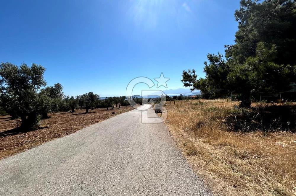 Urla Güvendik Mahallesi Satılık Tek Tapu Arsa