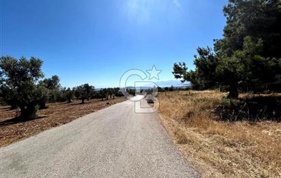 Urla Güvendik Mahallesi Satılık Tek Tapu Arsa