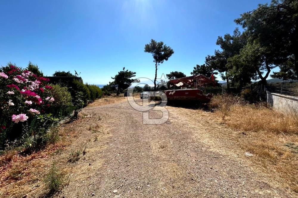 Urla Güvendik Mahallesi Satılık Tek Tapu Arsa