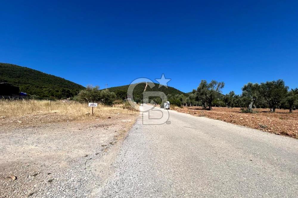 Urla Güvendik Mahallesi Satılık Tek Tapu Arsa