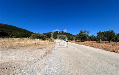 Urla Güvendik Mahallesi Satılık Tek Tapu Arsa
