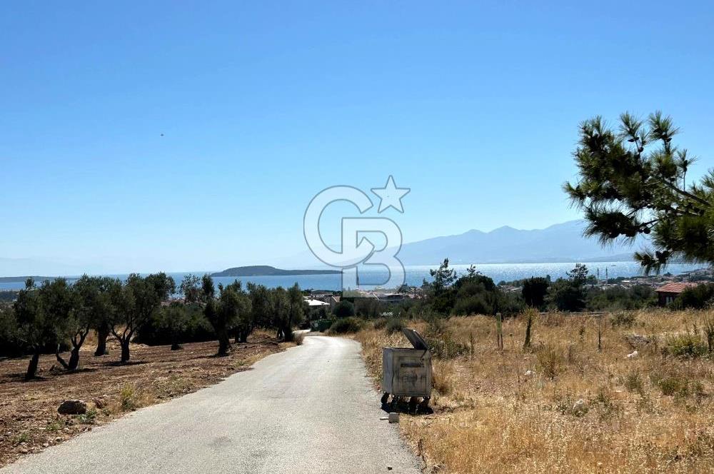 Urla Güvendik Mahallesi Satılık Tek Tapu Arsa