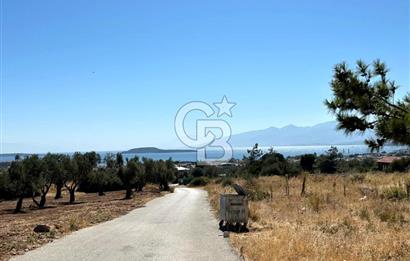 Urla Güvendik Mahallesi Satılık Tek Tapu Arsa