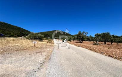 Urla Güvendik Mahallesi Satılık Tek Tapu Arsa