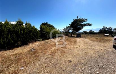 Urla Güvendik Mahallesi Satılık Tek Tapu Arsa