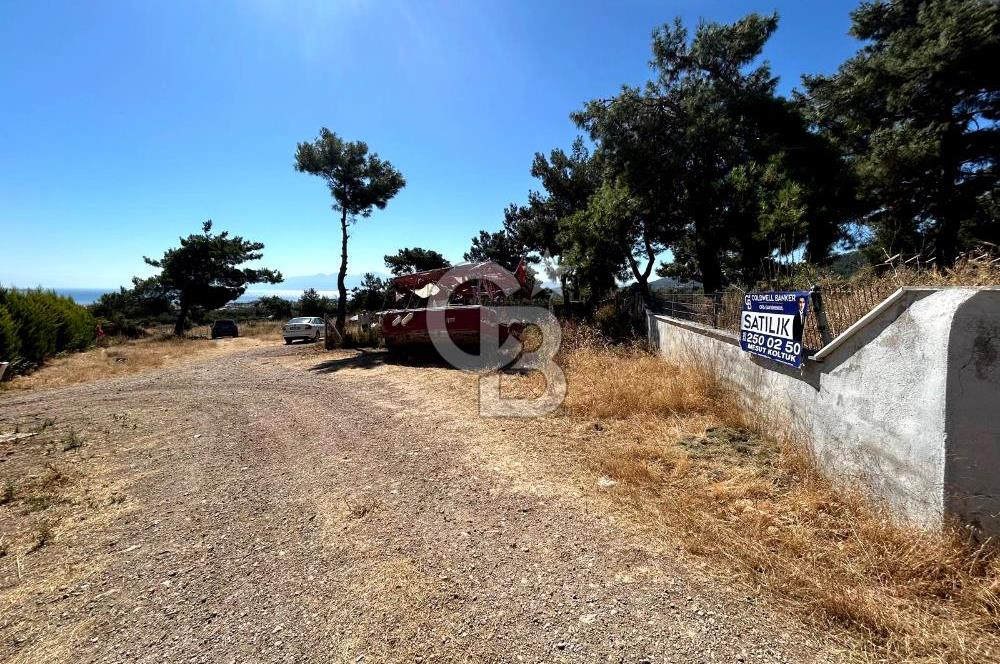 Urla Güvendik Mahallesi Satılık Tek Tapu Arsa