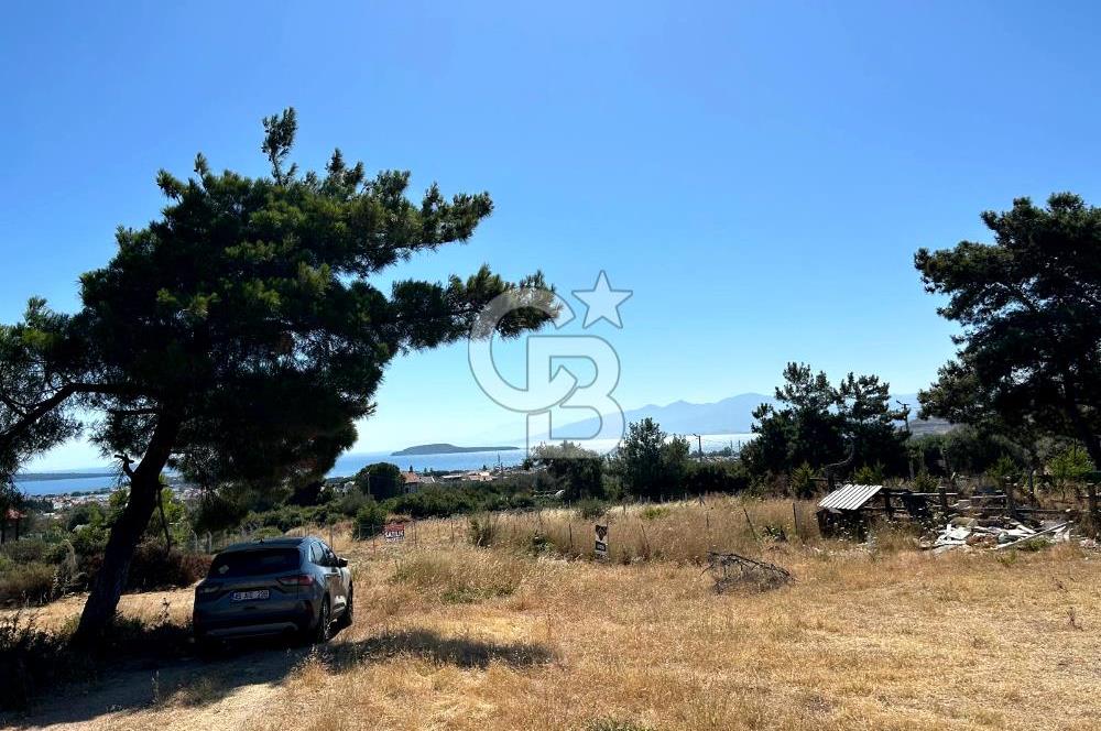 Urla Güvendik Mahallesi Satılık Tek Tapu Arsa