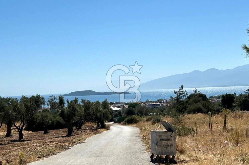 Urla Güvendik Mahallesi Satılık Tek Tapu Arsa