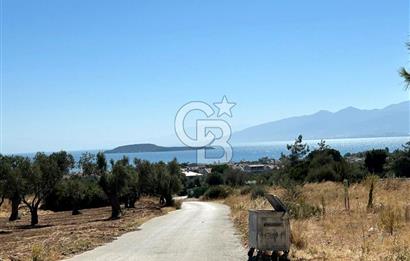 Urla Güvendik Mahallesi Satılık Tek Tapu Arsa