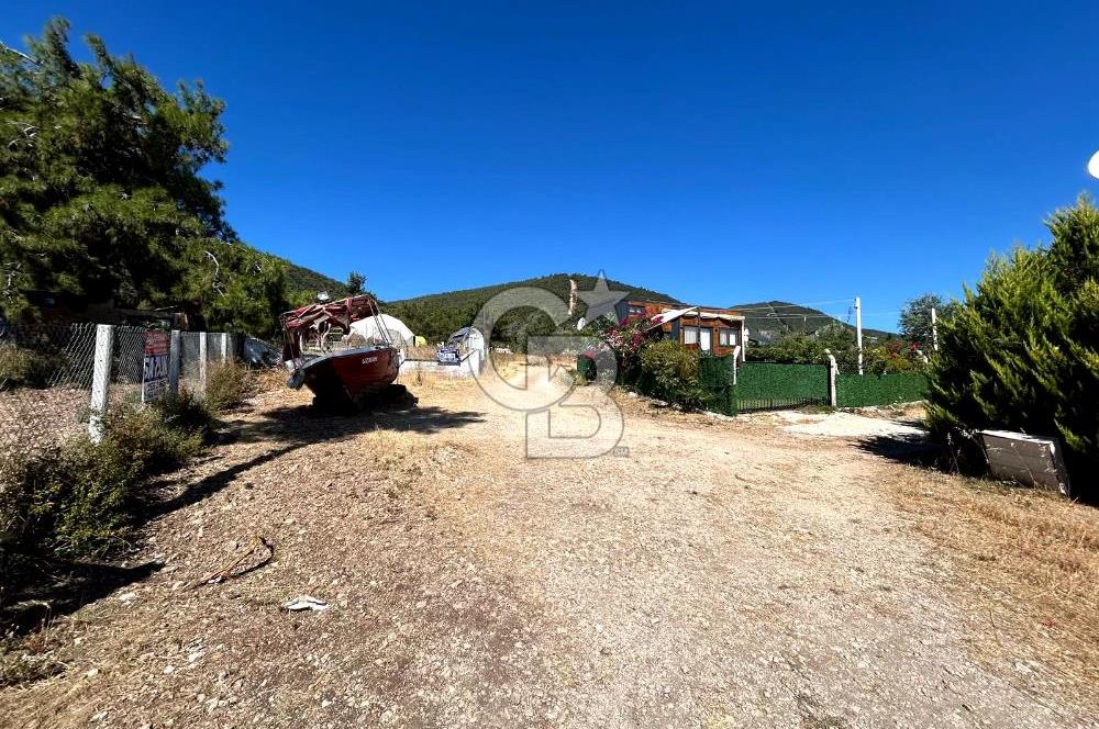 Urla Güvendik Mahallesi Satılık Tek Tapu Arsa