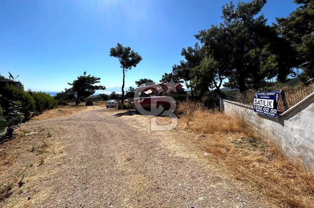 Urla Güvendik Mahallesi Satılık Tek Tapu Arsa