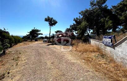 Urla Güvendik Mahallesi Satılık Tek Tapu Arsa
