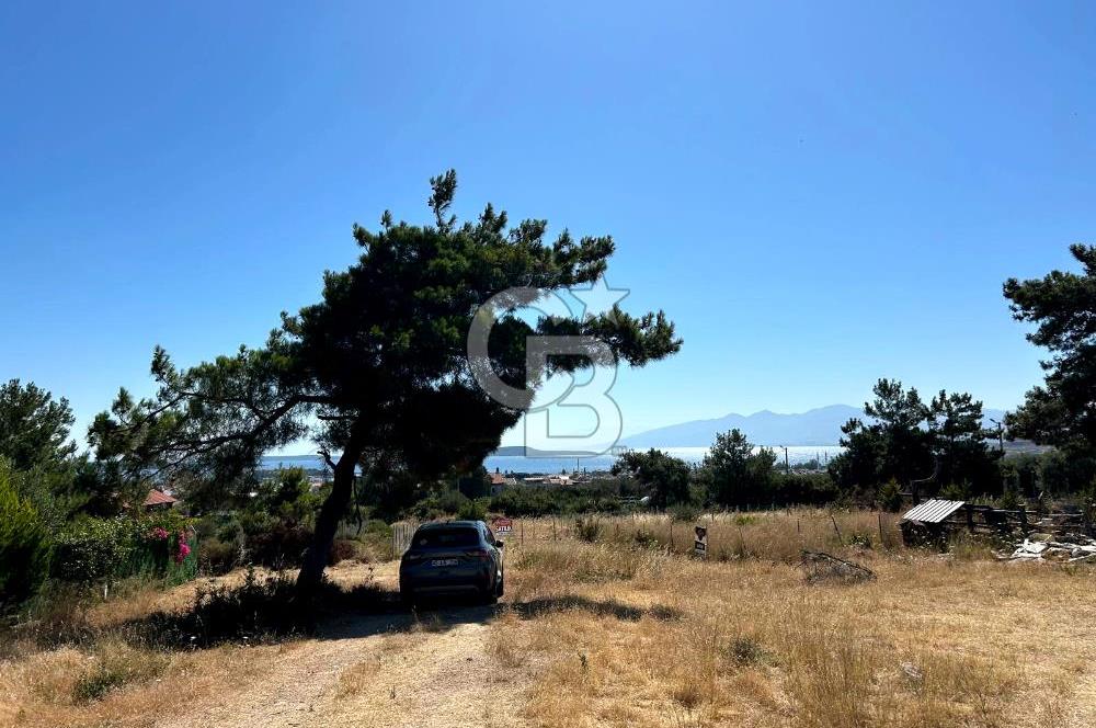 Urla Güvendik Mahallesi Satılık Tek Tapu Arsa