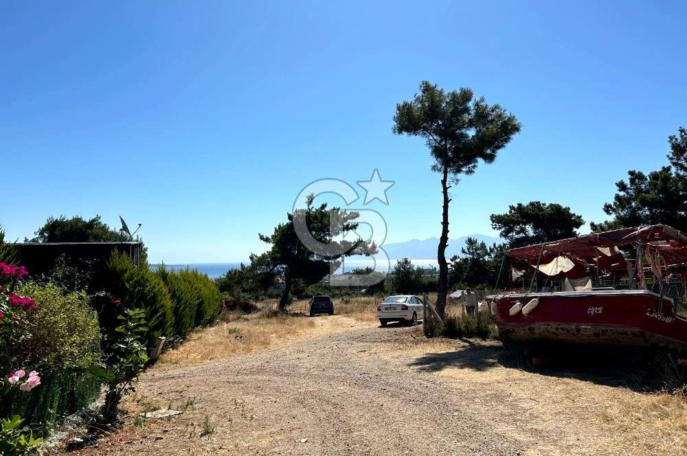 Urla Güvendik Mahallesi Satılık Tek Tapu Arsa