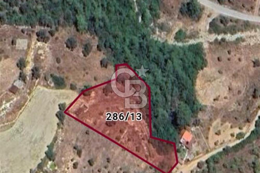 Muğla Menteşe Zeytinköy Mahallesinde Satılık İçinde Evi Olan Tarla