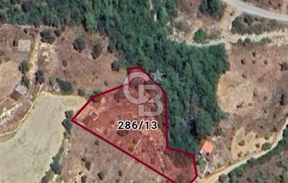 Muğla Menteşe Zeytinköy Mahallesinde Satılık İçinde Evi Olan Tarla