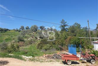 Muğla Menteşe Zeytinköy Mahallesinde Satılık İçinde Evi Olan Tarla