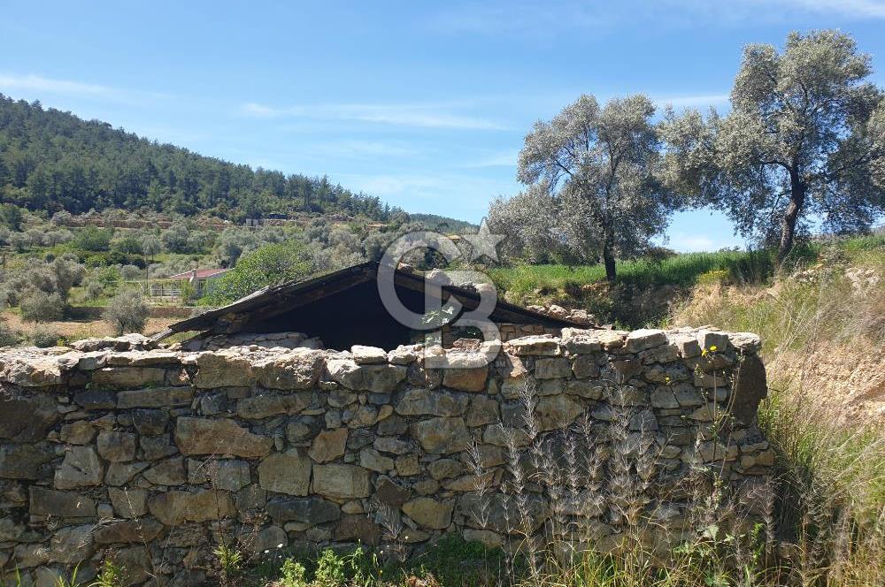 Muğla Menteşe Zeytinköy Mahallesinde Satılık İçinde Evi Olan Tarla