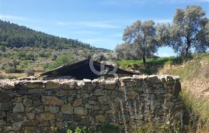 Muğla Menteşe Zeytinköy Mahallesinde Satılık İçinde Evi Olan Tarla