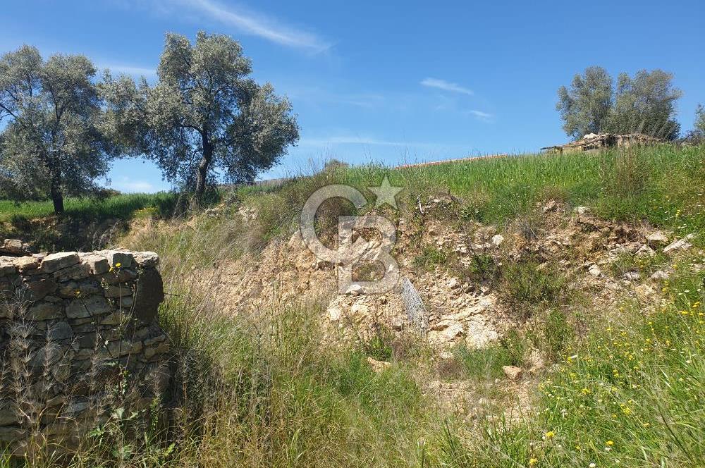 Muğla Menteşe Zeytinköy Mahallesinde Satılık İçinde Evi Olan Tarla