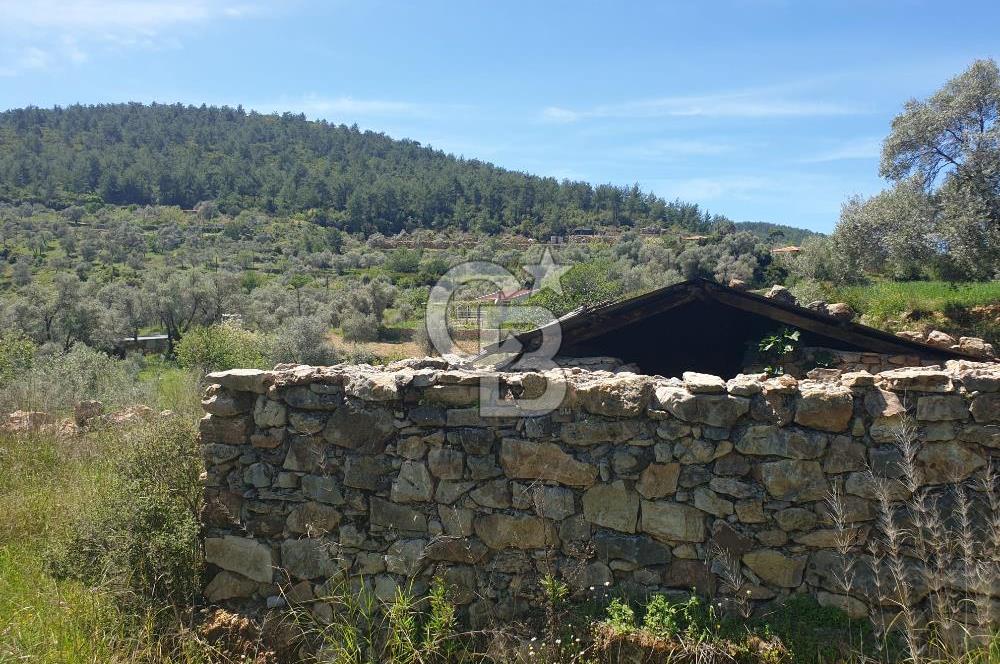 Muğla Menteşe Zeytinköy Mahallesinde Satılık İçinde Evi Olan Tarla