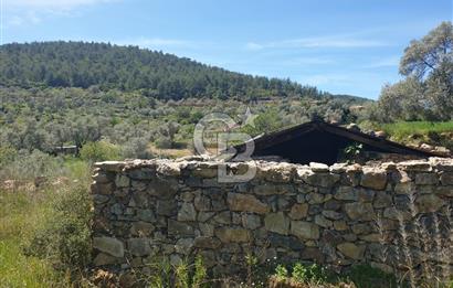 Muğla Menteşe Zeytinköy Mahallesinde Satılık İçinde Evi Olan Tarla