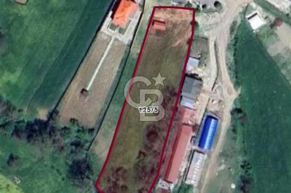 CB GİZ'DEN KOCAELİ İZMİT KAYNARCA'DA SATILIK TARLA