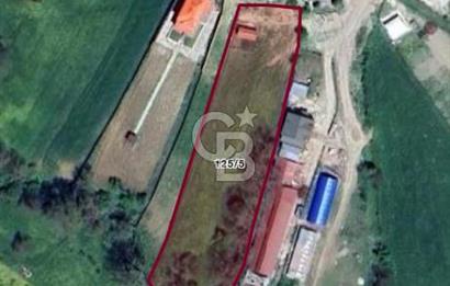 CB GİZ'DEN KOCAELİ İZMİT KAYNARCA'DA SATILIK TARLA