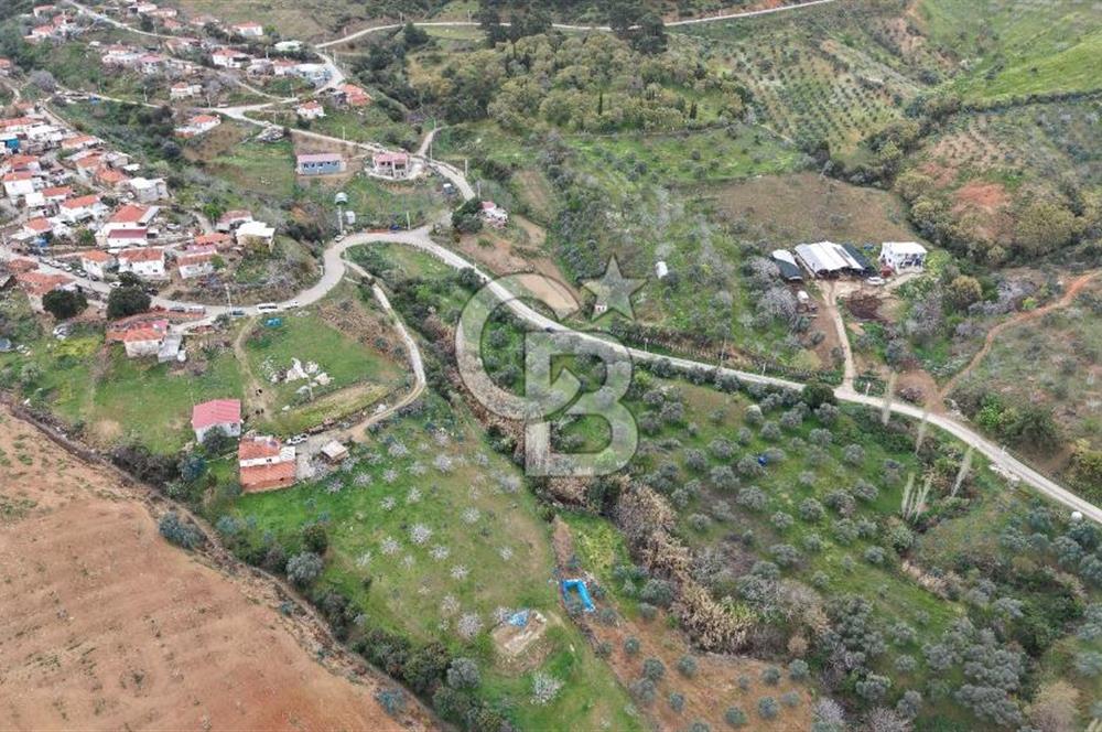 Bayındır Lütuflar Köyü’nde 5.928 m² Satılık Verimli Tarla