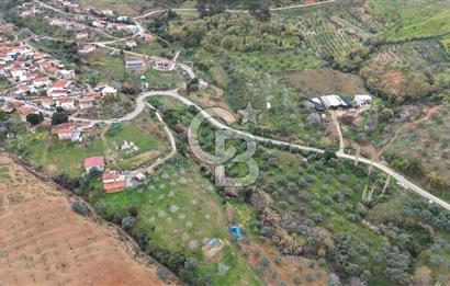Bayındır Lütuflar Köyü’nde 5.928 m² Satılık Verimli Tarla