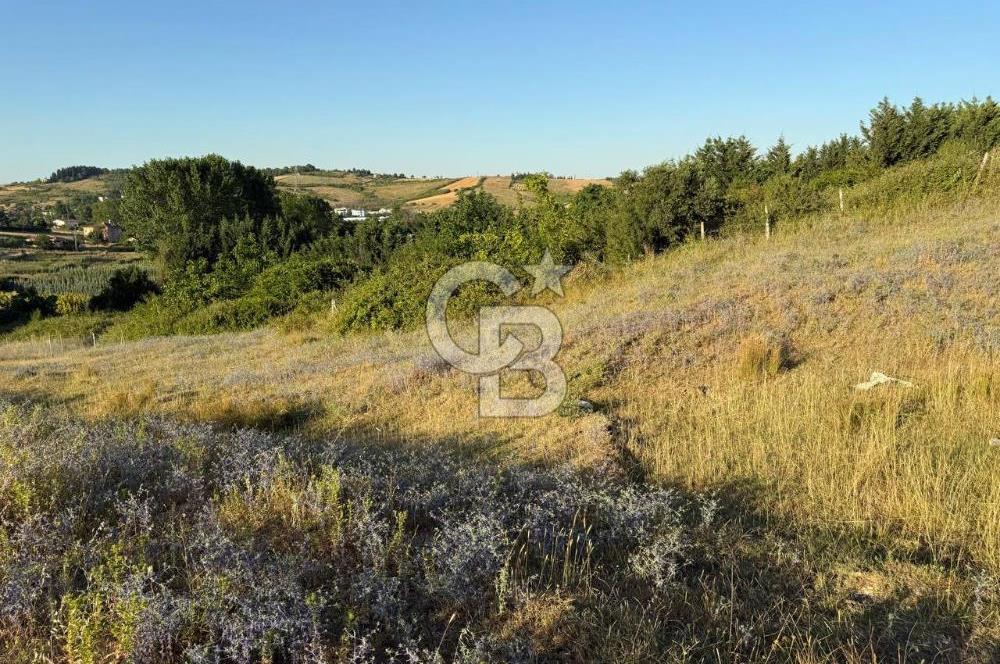 Merkez-Elmalık Mah. Müstakil Parsel, 407 m², Villa İmarlı Arsa