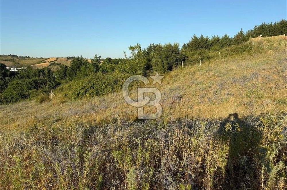 Merkez-Elmalık Mah. Müstakil Parsel, 407 m², Villa İmarlı Arsa