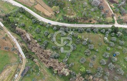 Bayındır Lütuflar Köyü’nde 5.928 m² Satılık Verimli Tarla