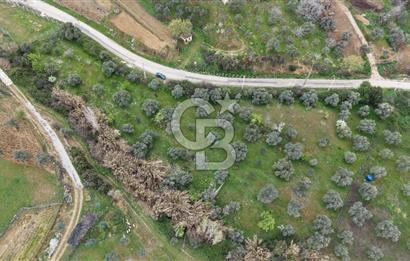 Bayındır Lütuflar Köyü’nde 5.928 m² Satılık Verimli Tarla