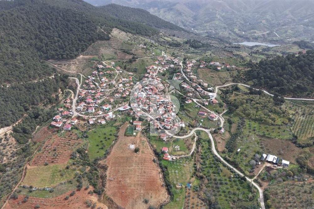 Bayındır Lütuflar Köyü’nde 5.928 m² Satılık Verimli Tarla