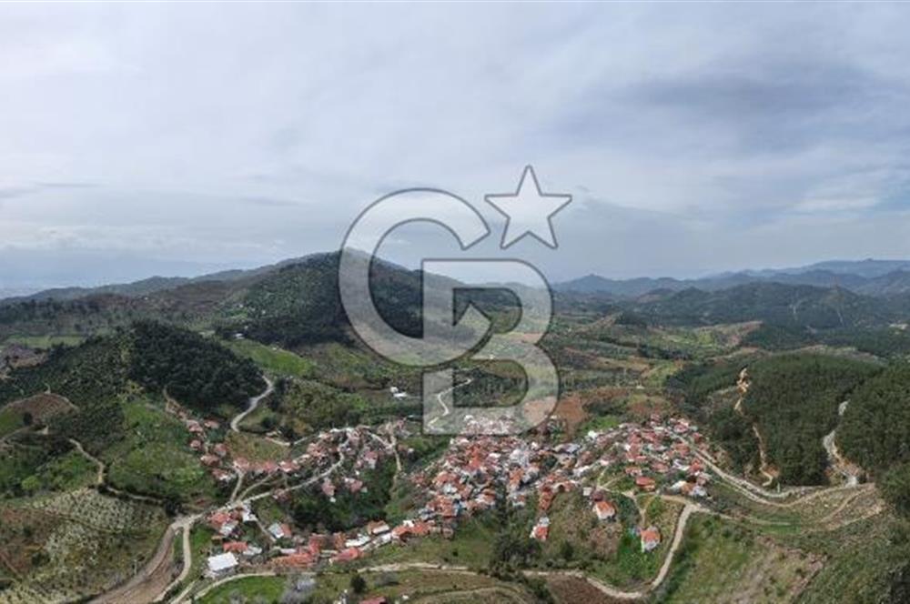 Bayındır Lütuflar Köyü’nde 5.928 m² Satılık Verimli Tarla