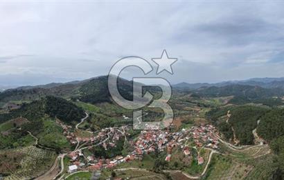 Bayındır Lütuflar Köyü’nde 5.928 m² Satılık Verimli Tarla