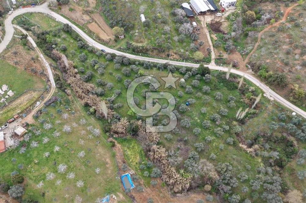 Bayındır Lütuflar Köyü’nde 5.928 m² Satılık Verimli Tarla